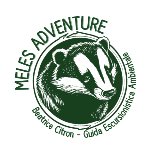 BEATRICE CITRON BEATRICE CITRON